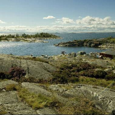 Skärgården