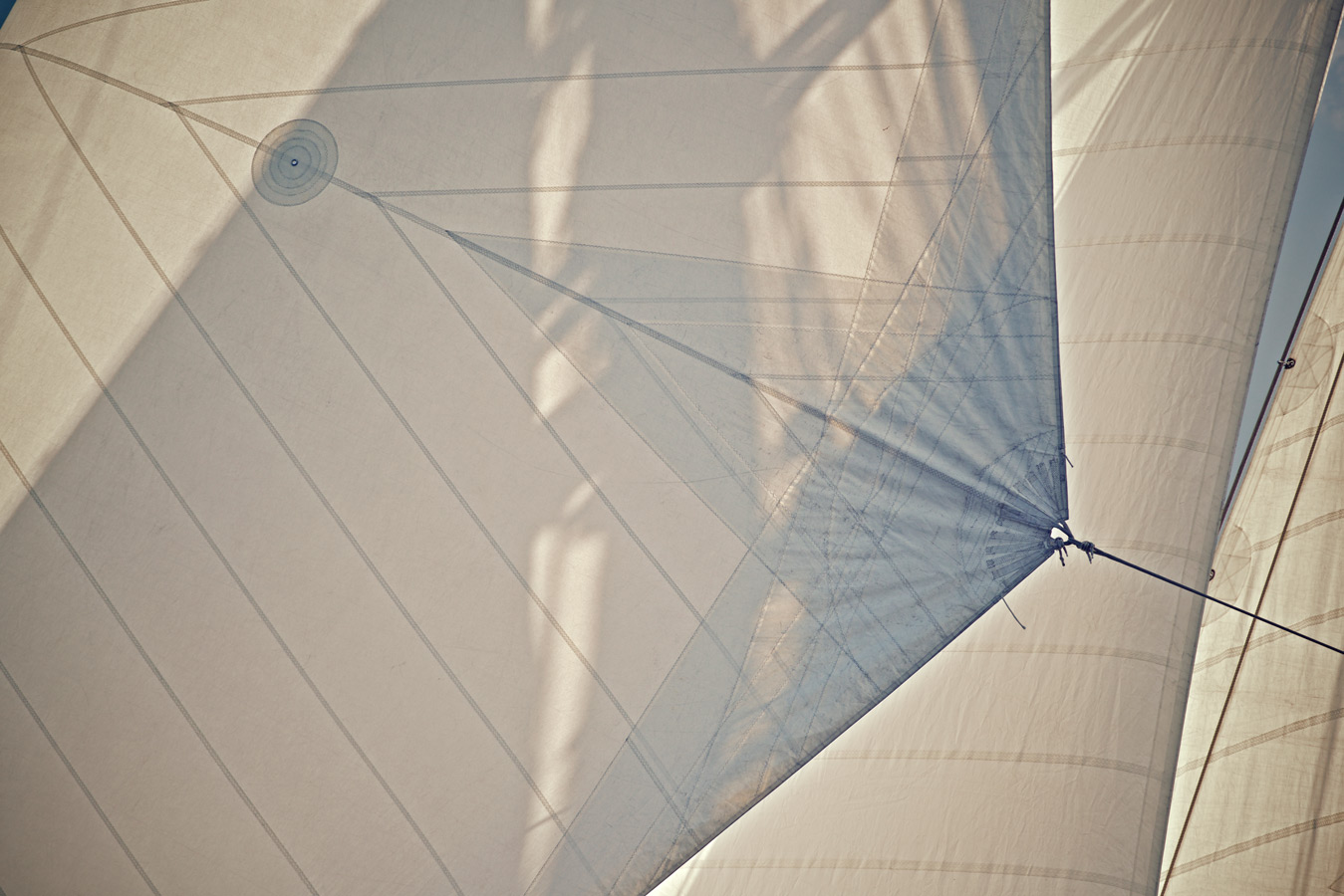 Les voiles de Saint-Tropez